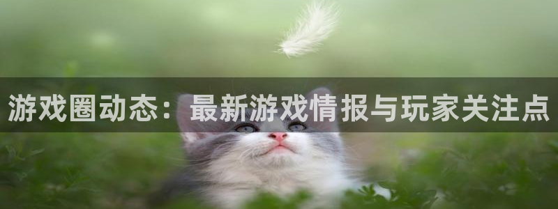 长征娱乐4开户：游戏圈动态：最新游戏情报与玩家关注点