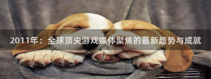 长征娱乐4招商：2011年：全球顶尖游戏媒体聚焦的最新趋势与