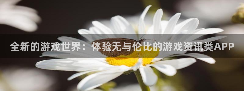 长征娱乐app下载：全新的游戏世界：体验无与伦比的游戏资讯类