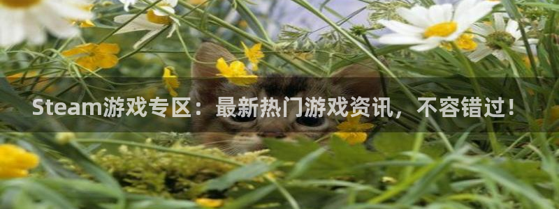 长征娱乐游戏：Steam游戏专区：最新热门游戏资讯，不容错过