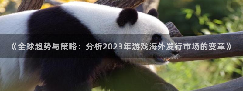 长征娱乐注册：《全球趋势与策略：分析2023年游戏海外发行市