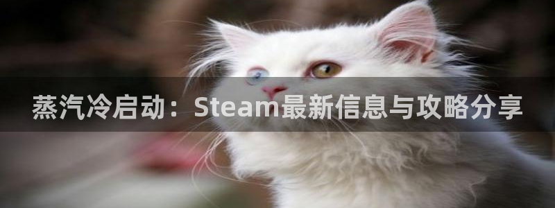长征娱乐下载链接：蒸汽冷启动：Steam最新信息与攻略分享