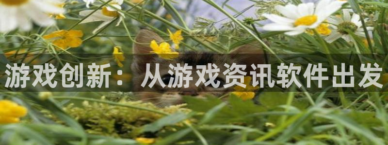 长征娱乐注册服务条款：游戏创新：从游戏资讯软件出发