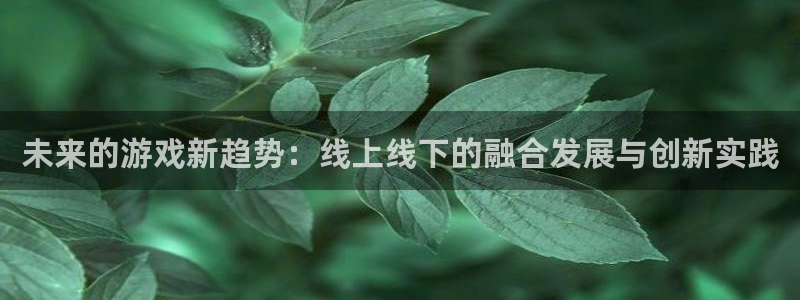 长征娱乐测速登陆：未来的游戏新趋势：线上线下的融合发展与创新