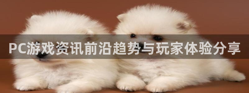 长征娱乐下载：PC游戏资讯前沿趋势与玩家体验分享