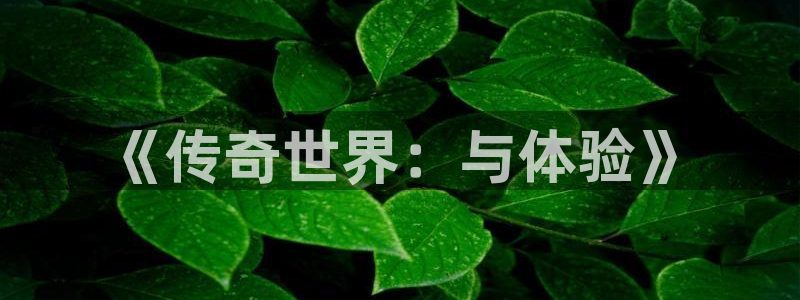 长征娱乐平台负责人：《传奇世界：与体验》