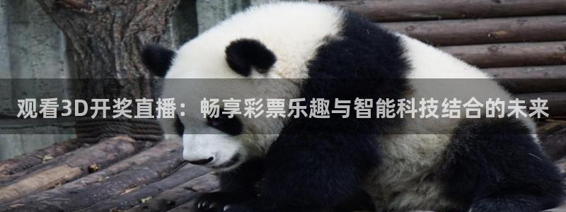 松鼠体育下载：观看3D开奖直播：畅享彩票乐趣与智能科技结合的未来