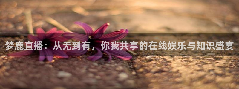 松鼠体育：梦鹿直播：从无到有，你我共享的在线娱乐与知识盛宴